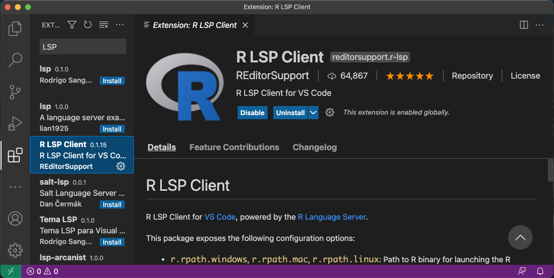 Figure 11: Install R LSP Client extension